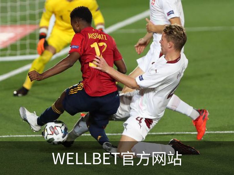 WELLBET官方网站概况